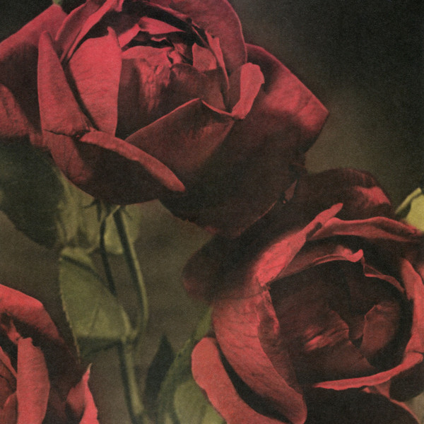 View album in Discogs